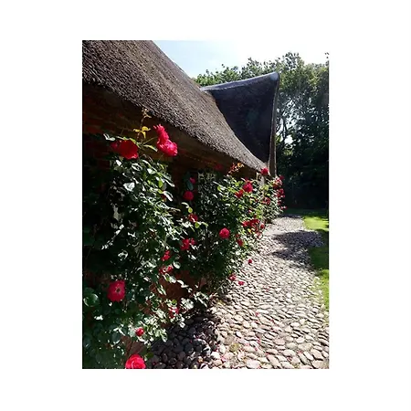 Deichglück Emmelsbüll-horsbüll Ferienhaus Emmelsbüll-Horsbüll