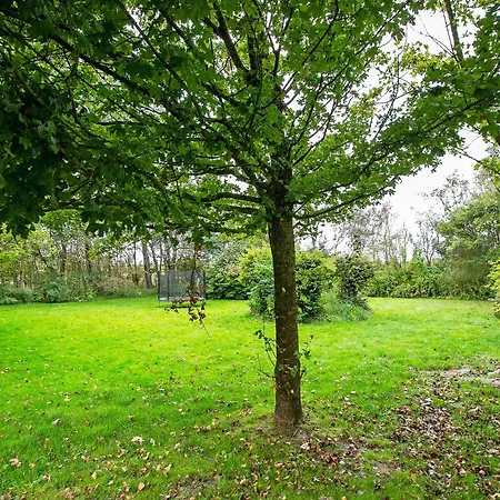 Ferienhaus Deichglück Emmelsbüll-horsbüll *
