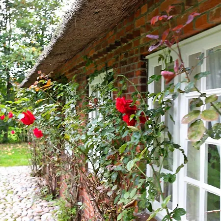 Deichglück Emmelsbüll-horsbüll Tatil Evi